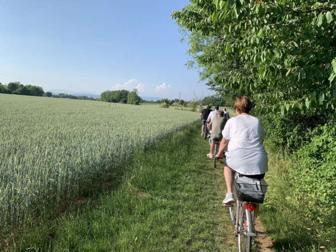 Gli agricoltori: “La tratta D di Pedemontana distruggerà ecosistema ed economia locale”