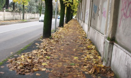 Marciapiedi invasi dalle foglie, scatta il piano straordinario