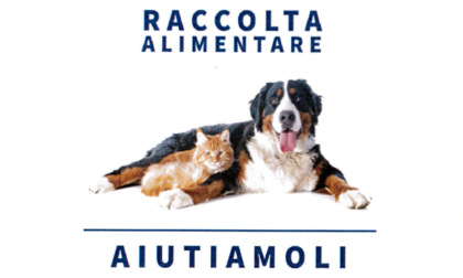 Domani al Gigante la raccolta alimenti per cani e gatti di padroni in difficoltà