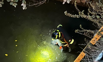 Gatto nel fiume, rocambolesco salvataggio