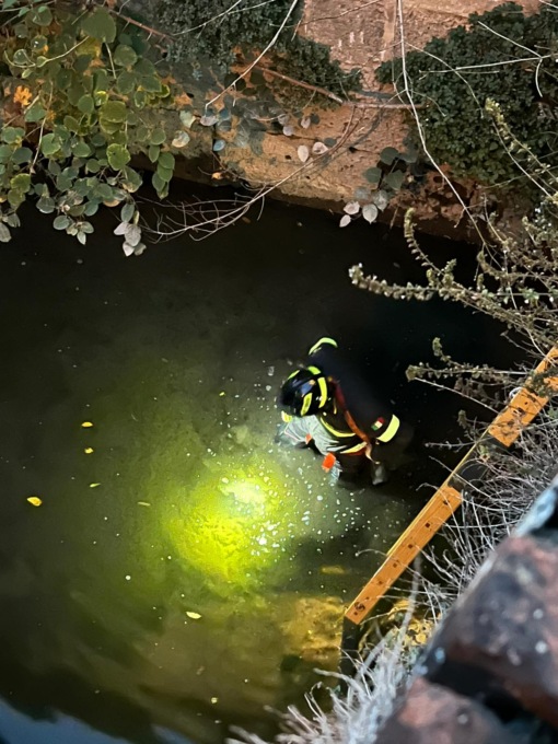 Gatto nel fiume, rocambolesco salvataggio