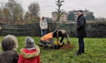 Il Comune dona un albero alle scuole dell'infanzia
