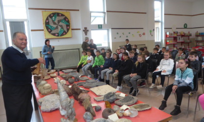 Lezioni di paleontologia a scuola, alla scoperta dei fossili