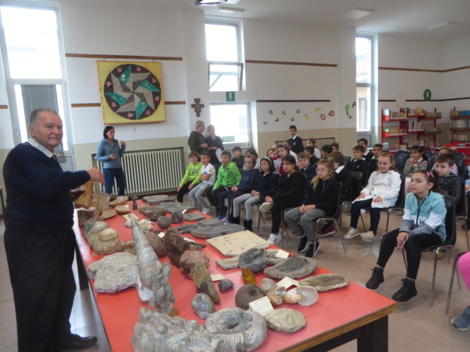 Lezioni di paleontologia a scuola, alla scoperta dei fossili