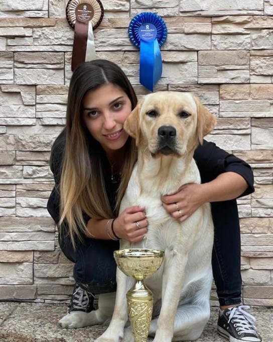 E’ Crystal il cane più bello di tutti: incoronata campionessa di Bosnia ed Erzegovina