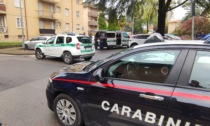 Ecco chi è la donna investita e uccisa questa mattina a Mezzago