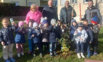 Festa dell'albero a Cimnago, piantati nuovi alberi alla scuola dell'infanzia