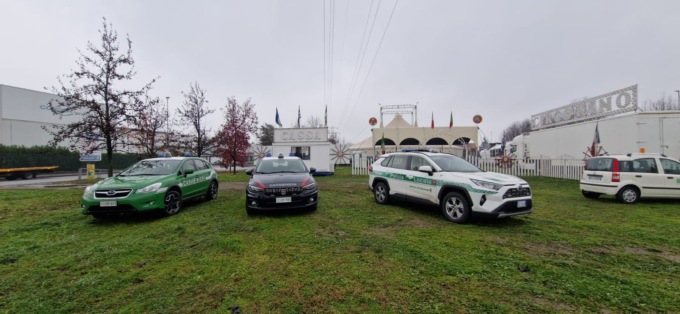 Polemica per il circo con gli animali: muore anche un cammello, ma i permessi sono in regola