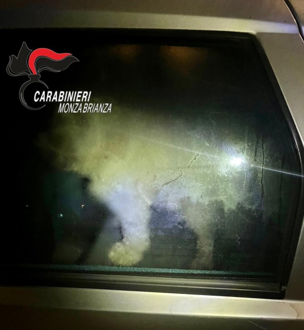 Barboncino abbandonato in auto, denunciato il proprietario