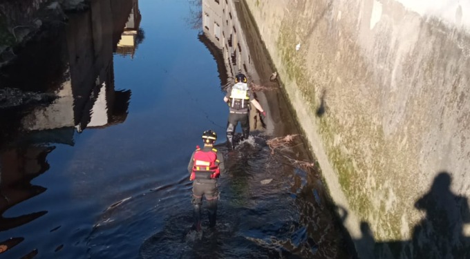 Gatto cade nel Seveso, salvato dai Vigili del Fuoco