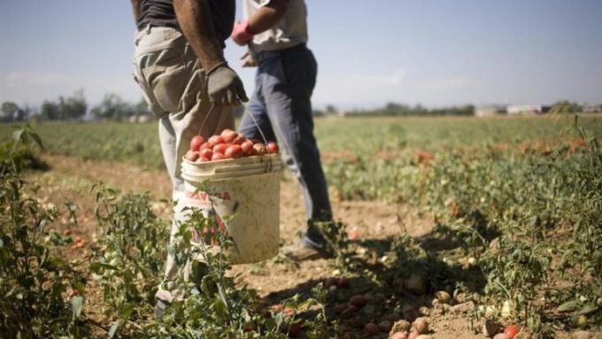 Ecomafie e caporalato: a Cesano Maderno il convegno di Brianza SiCura