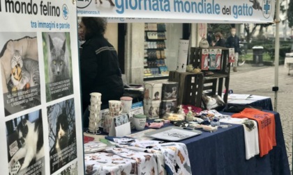 Festa del Gatto, Enpa in piazza a Monza con il banchetto