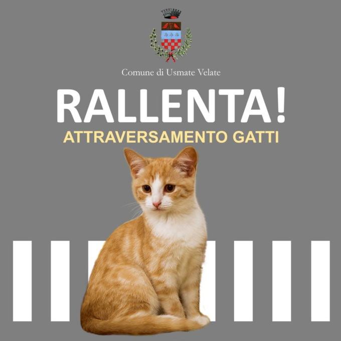 Un cartello a tutela dei “mici”