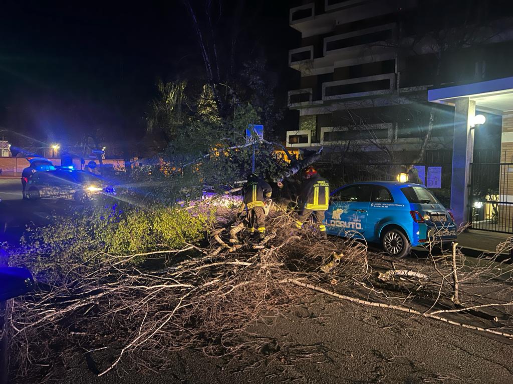Monza vento alberi caduti Vigili del fuoco pompieri
