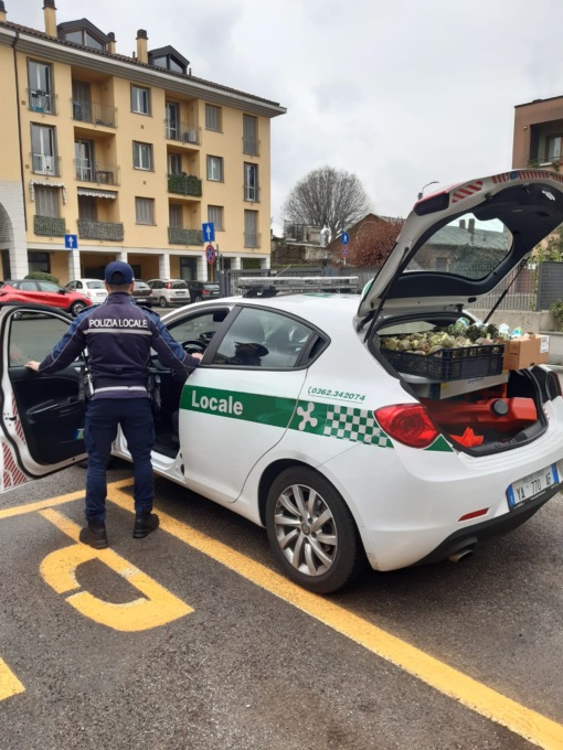 Venditore abusivo al mercato di Meda: sequestrati centinaia di carciofi