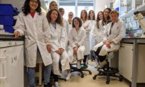 Uno studio dei ricercatori della Fondazione Tettamanti apre allo sviluppo di una nuova terapia per la leucemia mieloide acuta