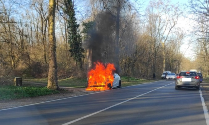 Auto in fiamme al Parco: intervengono i pompieri