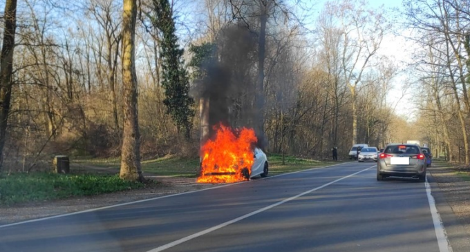 Auto in fiamme al Parco: intervengono i pompieri