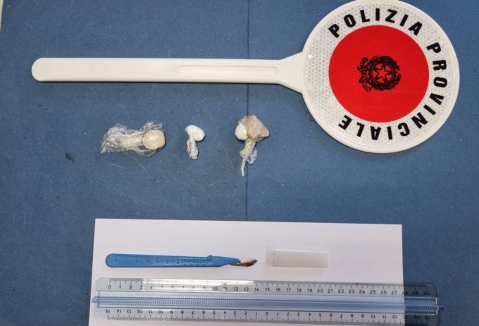 Nuova operazione antidroga nel Parco delle Groane: cocaina sequestrata grazie al fiuto del cane Ultimo