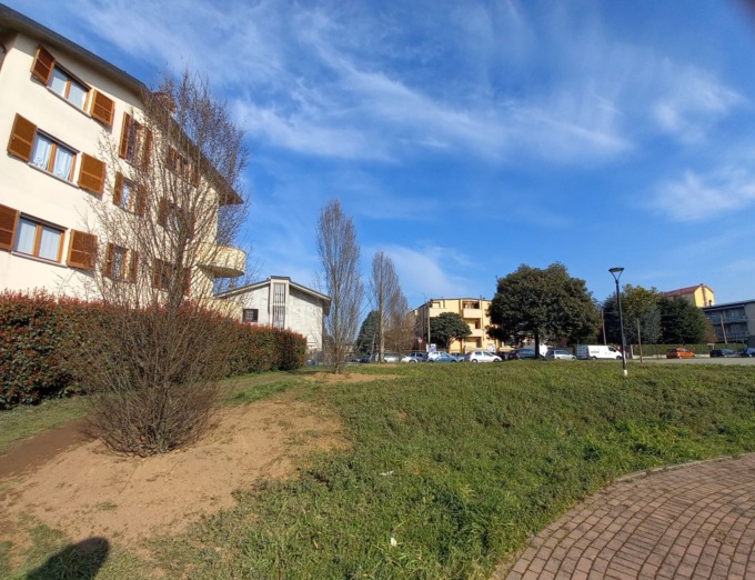 A Muggiò piazza Bonatti torna a rifiorire con le nuove piantumazioni