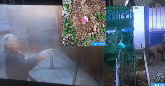 Butta veleno dal vicino, il video lo inchioda