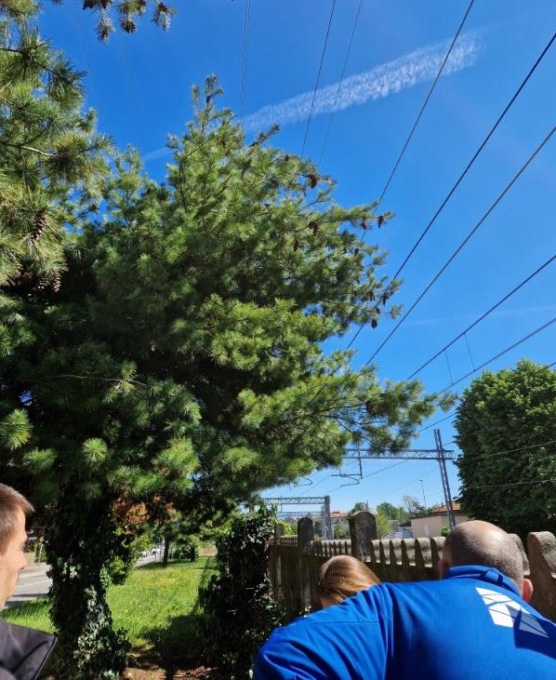 Al via la potatura degli alberi pericolanti lungo la ferrovia