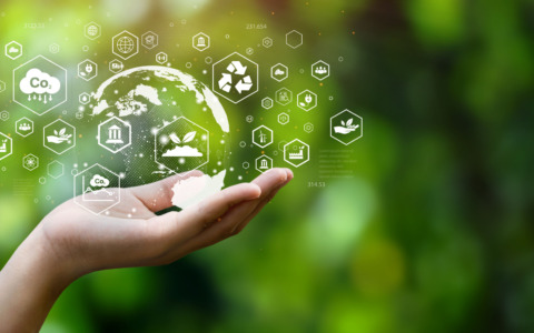 Impronta di carbonio: perché i grandi clienti chiedono dati sulle emissioni alle PMI