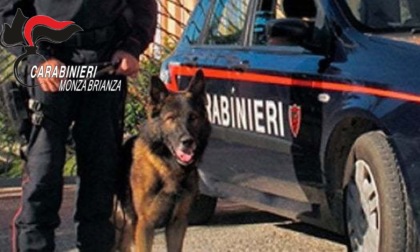 Scappa da scuola, ritrovata a 13 chilometri di distanza