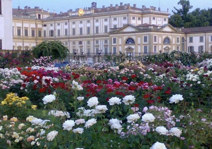 Rose e poesia si incrociano nell’evento alla Reggia di Monza