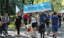 Ritorna "4 passi a 4 zampe": a Monza la camminata al Parco dedicata agli animali