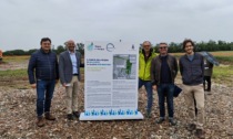Il Parco dell'Acqua di Bellusco sta prendendo forma: sarà pronto a ottobre