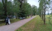 Successo per la Giornata del Verde Pulito al Parco GruBrìa