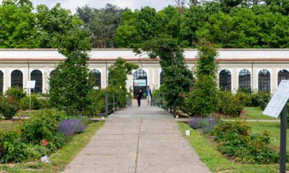 I Grandi Maestri dell’Acquerello in mostra all’Orangerie della Reggia di Monza