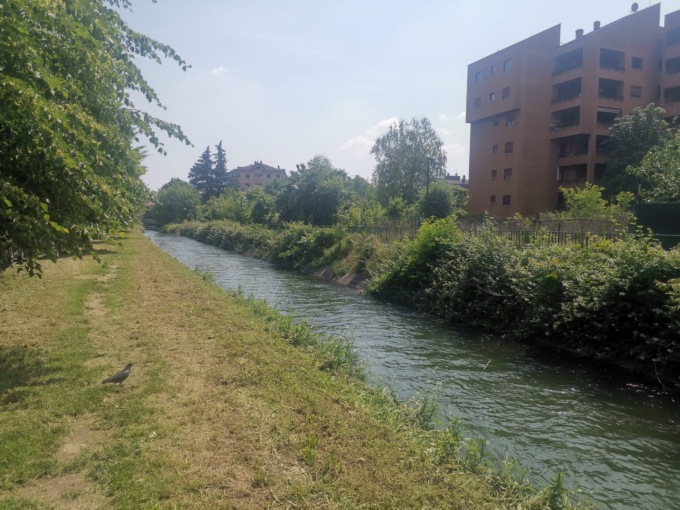 Si tuffa nel canale per salvare il cane ma non riesce più a risalire: salvato dai passanti