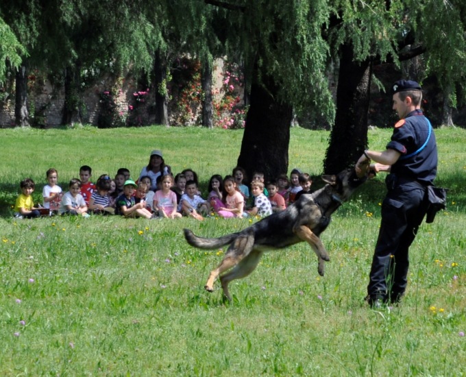 Un’emozionante giornata con le Forze dell’ordine e della sicurezza per 1.600 bambini