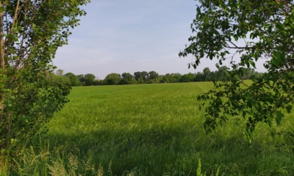 Nasce l’associazione Amici del Parco GruBria