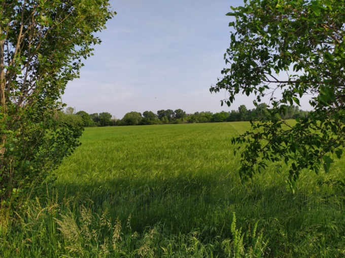 Nasce l’associazione Amici del Parco GruBria