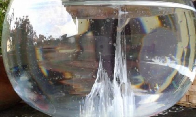 Avete fatto la Barca di San Pietro? Mandateci le vostre foto