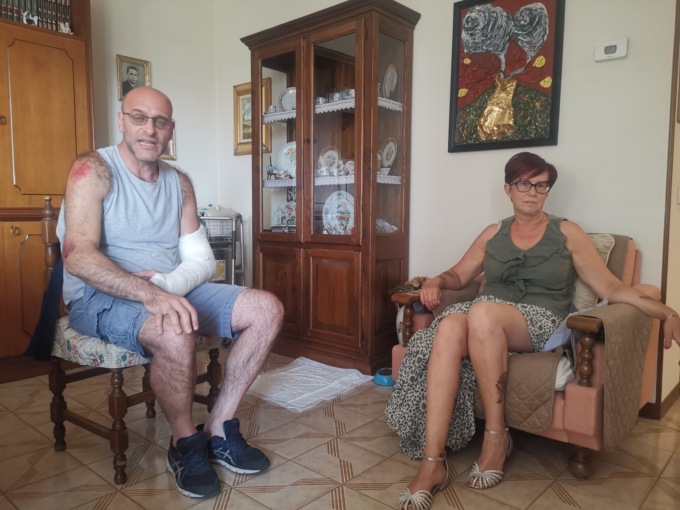 Colpiti da un albero caduto, il racconto delle vittime