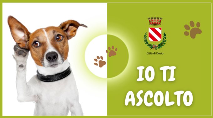 Come comportarsi con il cane in città: due incontri gratuiti a Desio