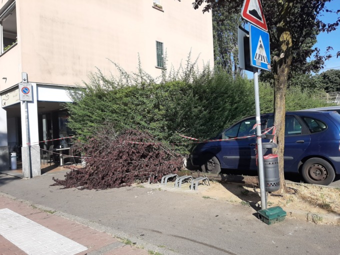 Albero si spezza e colpisce due passanti