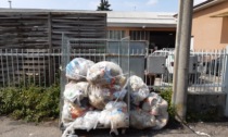 Puzza dai sacchi di rifiuti abbandonati: sanzione di 600 euro