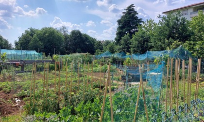 Orti urbani, si accettano domande per l’assegnazione