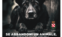 "Basta Scuse", torna la campagna Enpa contro l'abbandono estivo degli animali