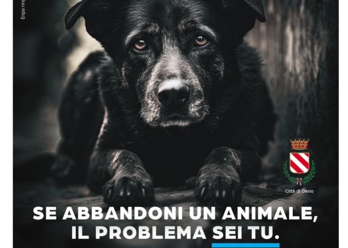 “Basta Scuse”, torna la campagna Enpa contro l’abbandono estivo degli animali