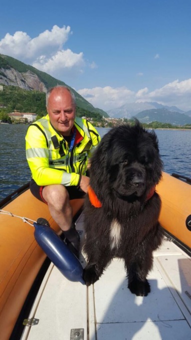 Le ceneri del cane bagnino tornano nel suo amato lago