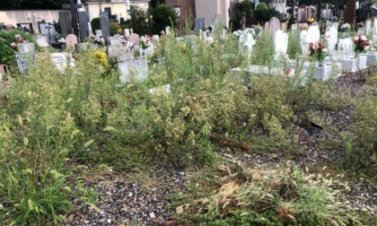 Le tombe dei bambini sepolte dall’erba alta