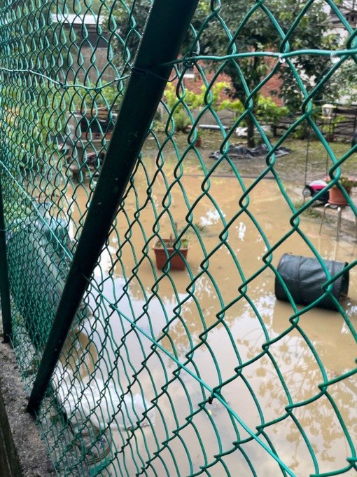 A Meda il Tarò torna a fare paura