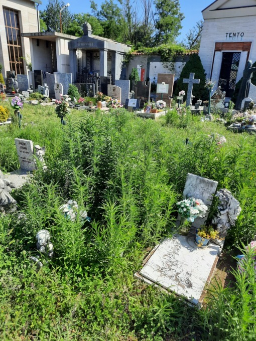 Cimitero invaso dalle erbacce, «una vergogna…»