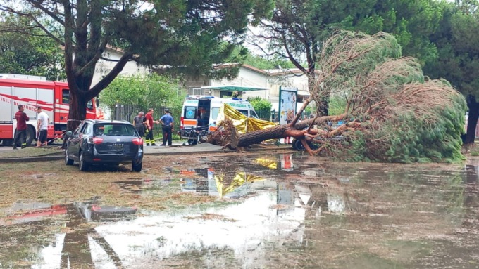 Travolta da un albero, muore una 58enne